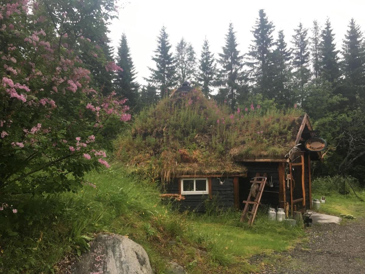 Villa 100 Years Old Norwegian Log House In Tromsø Extérieur photo