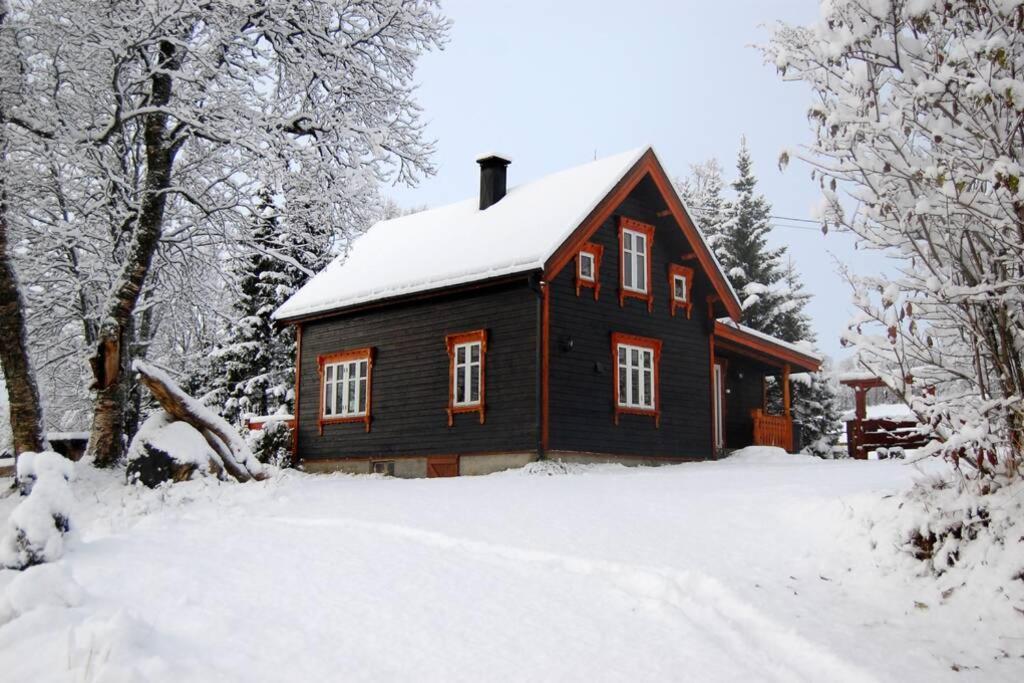 Villa 100 Years Old Norwegian Log House In Tromsø Extérieur photo