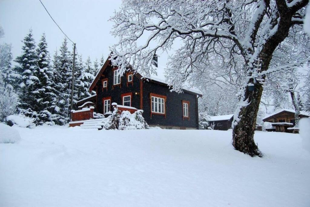 Villa 100 Years Old Norwegian Log House In Tromsø Extérieur photo